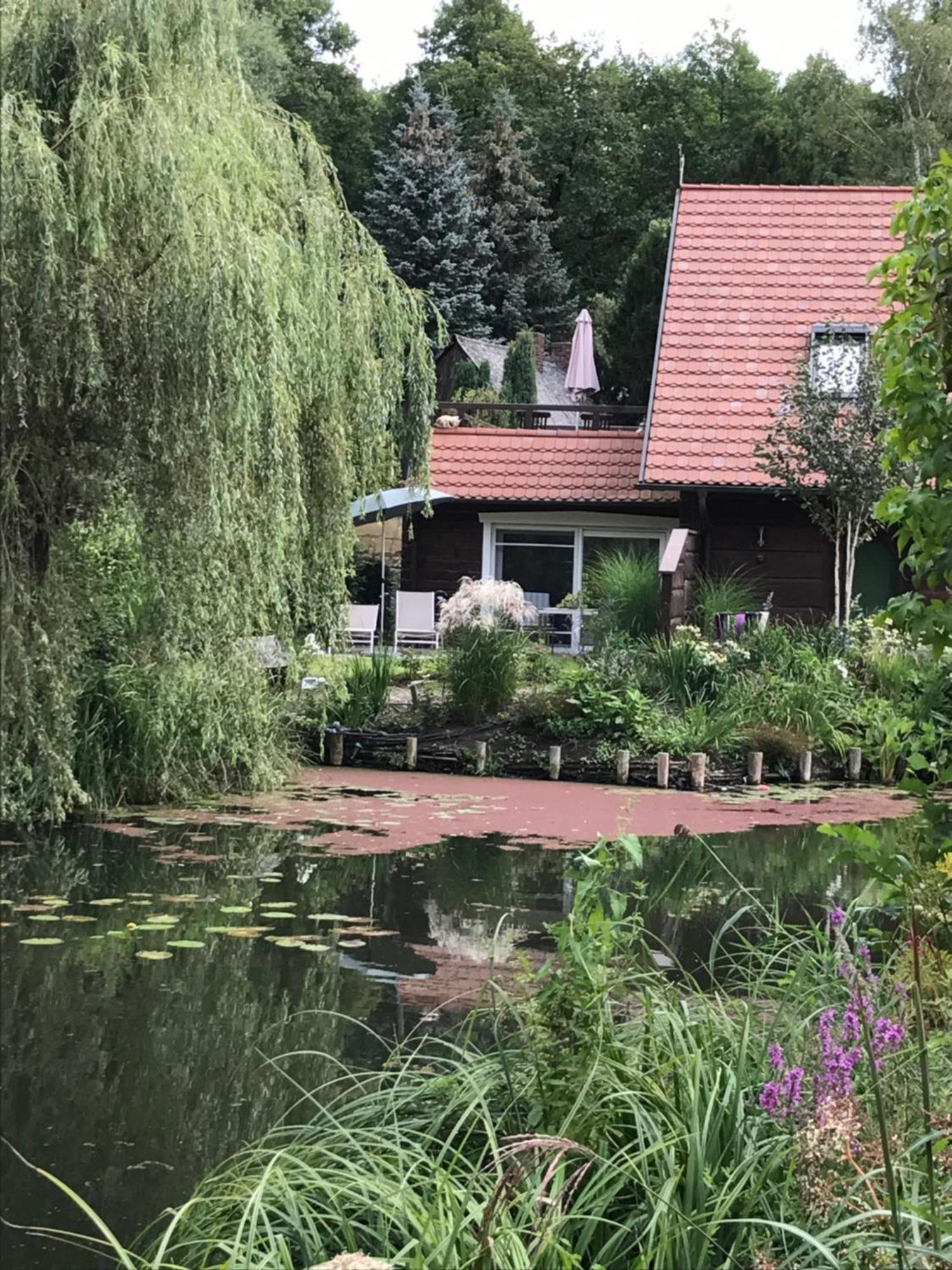 Ferienwohnungen Direkt Am Wasser Burg  Exterior photo